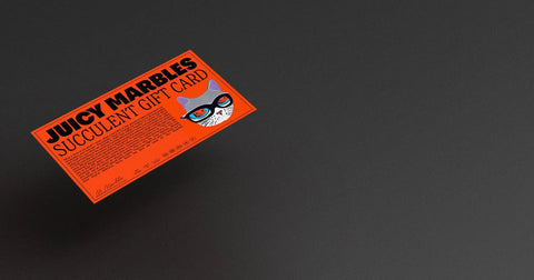Juicy Marbles Succulent Gift Card detail view